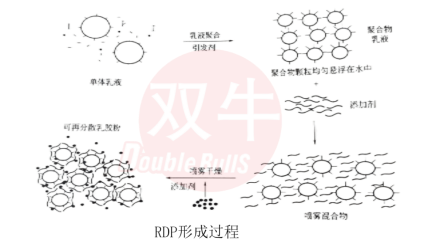 可再分散性乳胶粉（RDP）