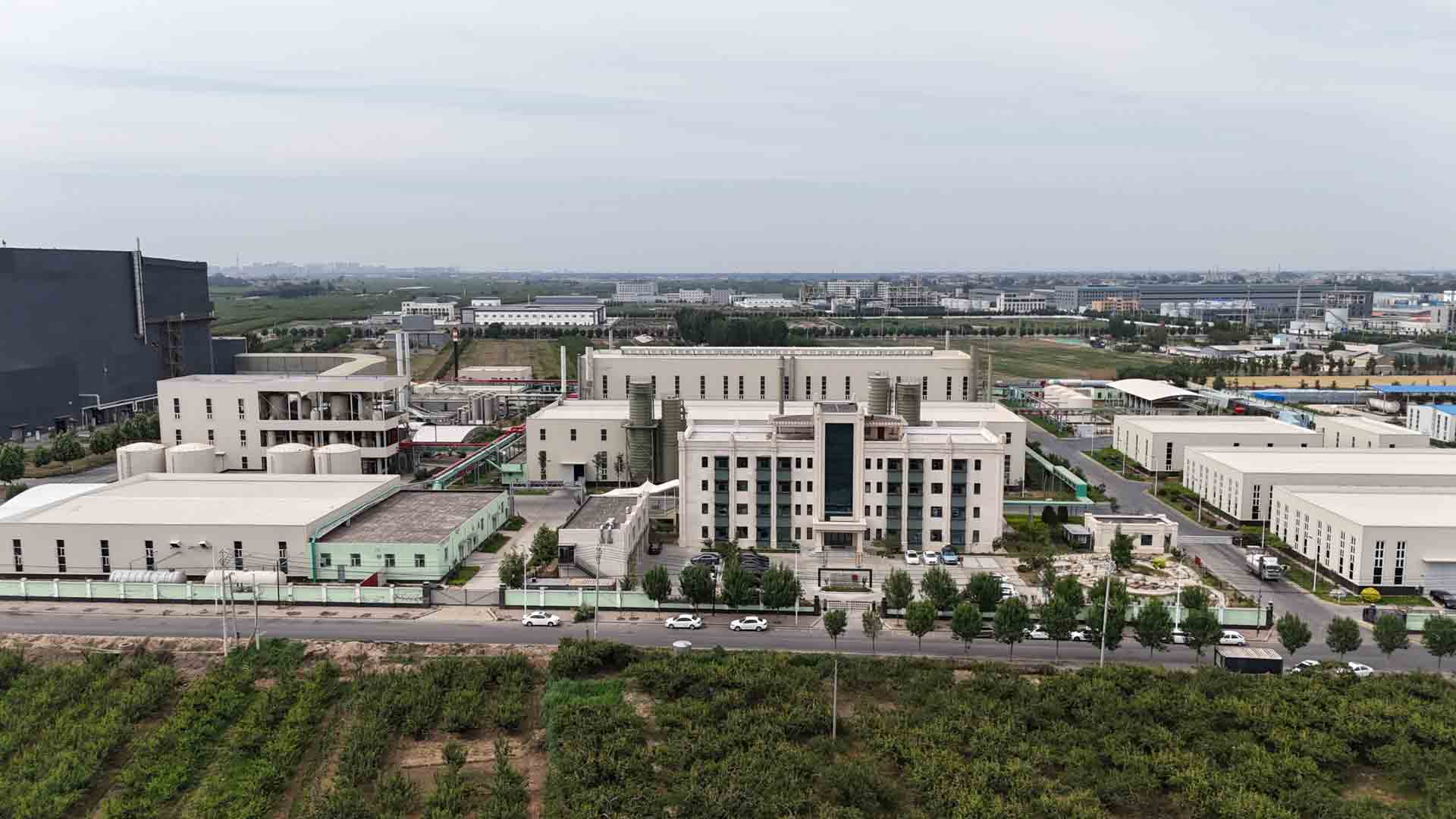 双牛纤维素,纤维素醚,HPMC